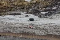 Страйкбольні гранати знайшли на Холодній…