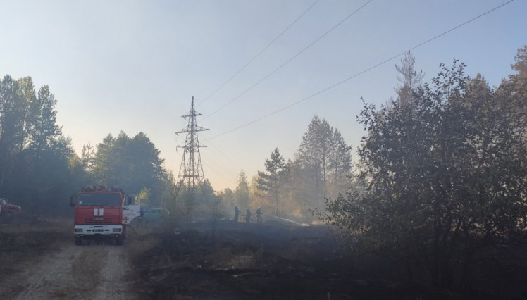 У Харківській області попередили лісову пожежу 