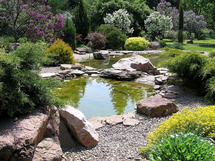 У харківському ботанічному саду є власне штучне озеро