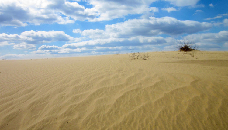В Харьковской области есть своя пустыня возле села Кицовка