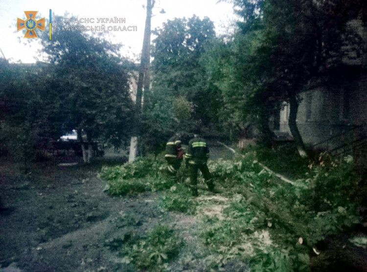 На Харківщині через негоду впало дерево на будинок