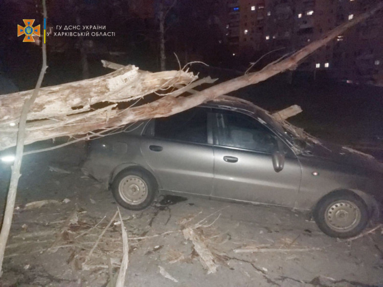 Ураган в Харькове 29 ноября