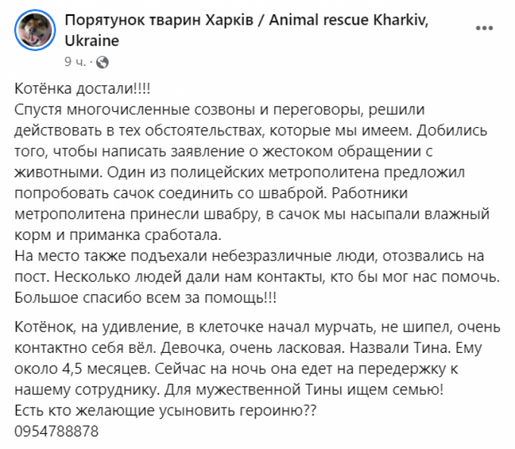 Сообщение о спасении котенка в подземке Харькова