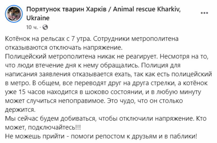 Допис волонтерів щодо кошеня в метро Харкова