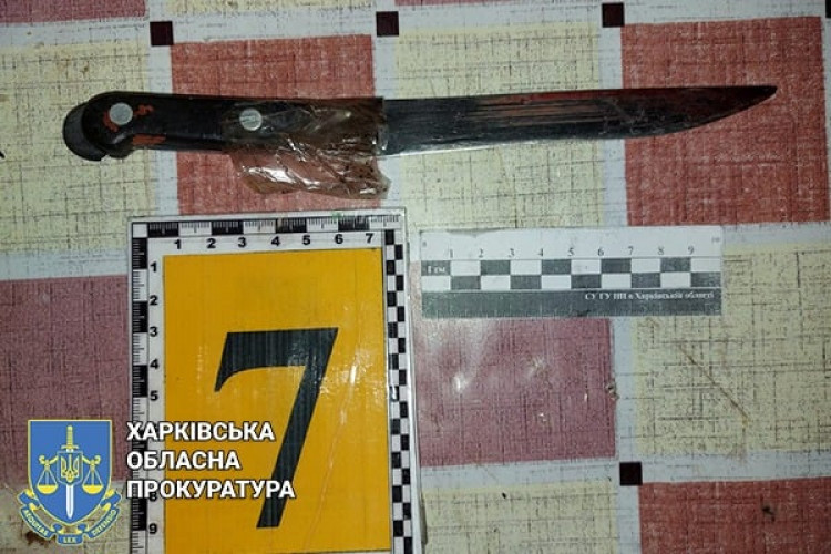 Женщина одним ударом убила мужчину в Харьковской области