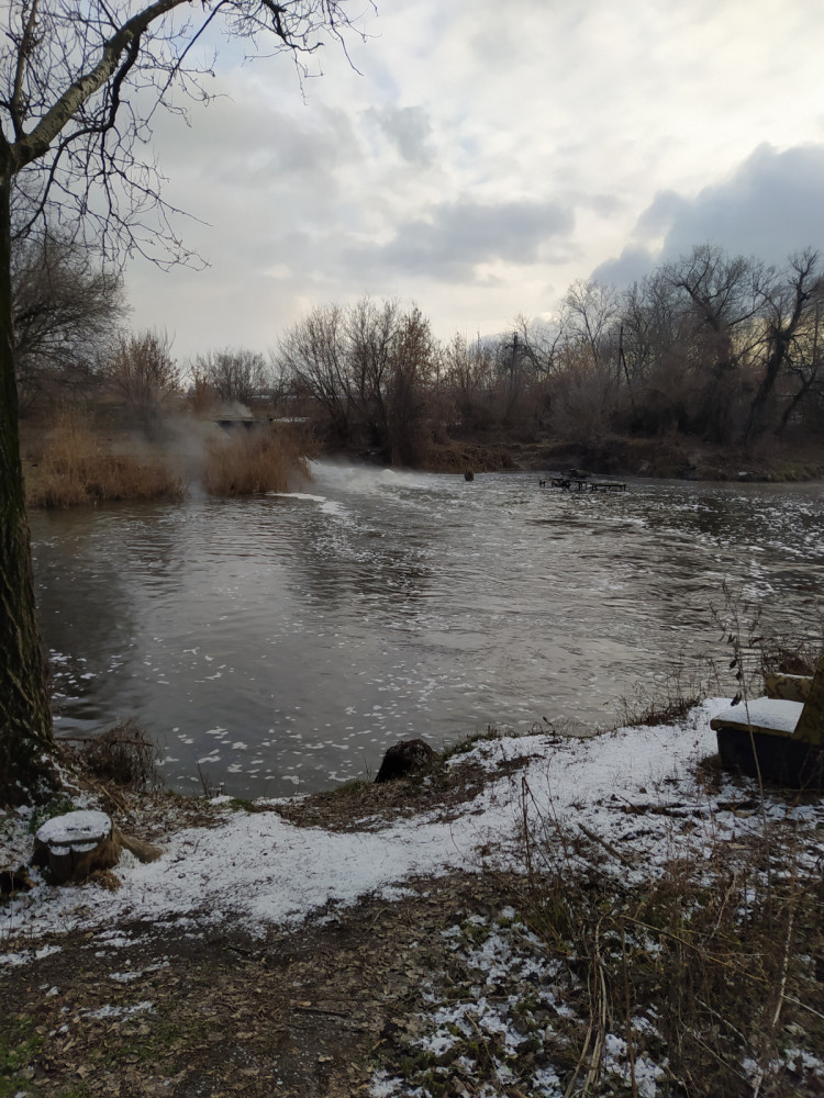 У басейні річки Сіверський Донець значно погіршилася якість води
